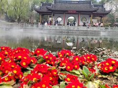 -武汉园博园(武汉自然博物馆)