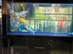 -汗蒸时代水善汤泉(欣欣嘉园店)