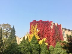 -辽宁大学(崇山校区)