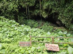 -海口火山口国家地质公园