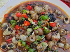 -张记虾尾·火锅·烧烤·大排档(涉外店)