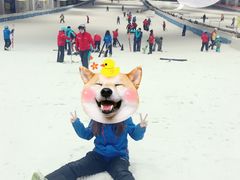 -绍兴启迪乔波冰雪世界