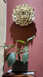 -栖木行空·女子定制美肤·芳香疗愈SPA