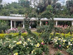 -人民公园(罗湖区)