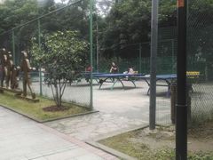 -重庆彩云湖湿地公园