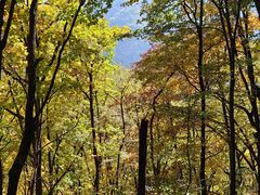 -五女峰国家森林公园