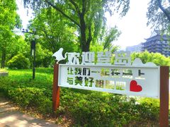 -长兴太湖图影湿地文化园