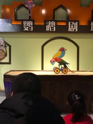 -未来动物城动物主题公园(大悦城店)