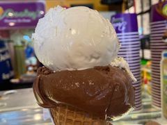 -Dooley's Premium Ice Cream