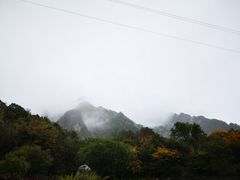 -秦岭风景区