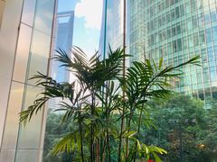 -怡咖啡海鲜自助餐厅(浦东香格里拉店)