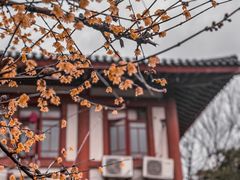 -南翔古镇