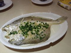 -美点双辉(东方汇店)