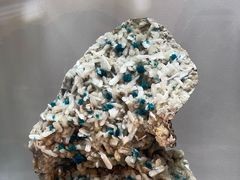 -南京维景国际大酒店(南京博物院店)