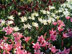 -长春公园(普阳街道)