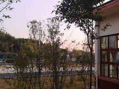 -三百山服务区-停车场