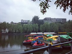-莲湖公园