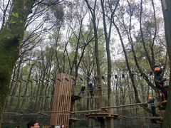 -WeLope紫金山探险公园