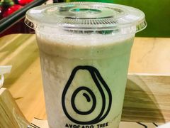 -油梨树AVOCADO TREE(望京店)