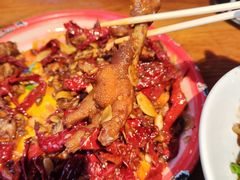 -柴窝堡22号辣子鸡·传承新疆菜