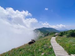 -白草畔自然风景区