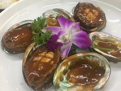 鲍鱼-渔家乐小海鲜(皇姑店)