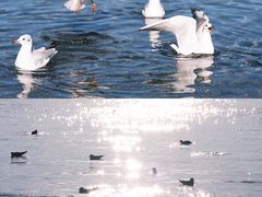 -丽江泸沽湖景区