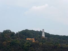 -中国宜宾·长江地标广场