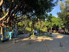 -仙岳公园