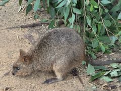 -费瑟代尔野生动物园