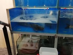 -宏天寶·北京烤鸭(宾馆西路2店)