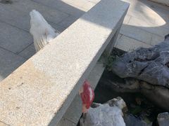 -三亚亚龙湾雅高美爵酒店