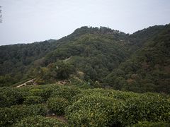 -西湖风景区十里琅珰-五云山