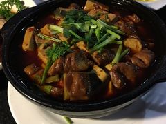 -云中小雅