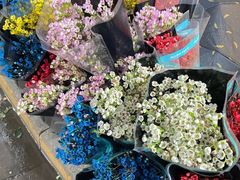 -循礼门鲜花花市(武汉循礼门店)