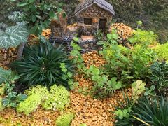 -兰州老马家族食府(康庄总店)