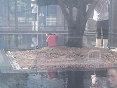 -悦厅·下午茶(杭州柏悦酒店)