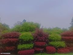 -故乡缘·香格里拉山庄(冷竹路店)