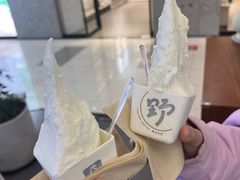 -野人先生Gelato(上海长宁龙之梦店)