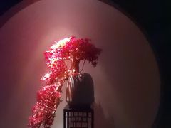 -江南足纪·影院足道·轻奢SPA(笋岗HALO广场店)