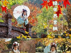 -田野绿世界