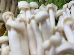 -享月汤皇·海鲜小火锅·聚会(曲江创意谷店)