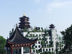 -龙天小镇
