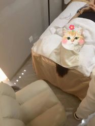 -木锦-科技美肤