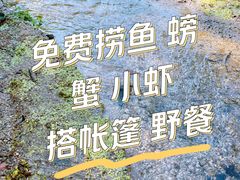 -白水寺森林公园