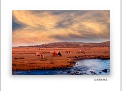 -塞罕坝国家级自然保护区