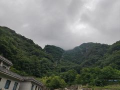 -牛背梁国家森林公园
