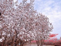 -大望京儿童游乐场