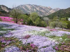 -昆嵛山石门里景区