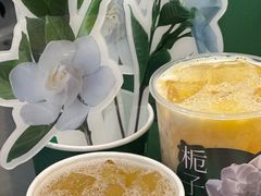 -鲜芒多·杨枝甘露(摩尔城A座10楼店)